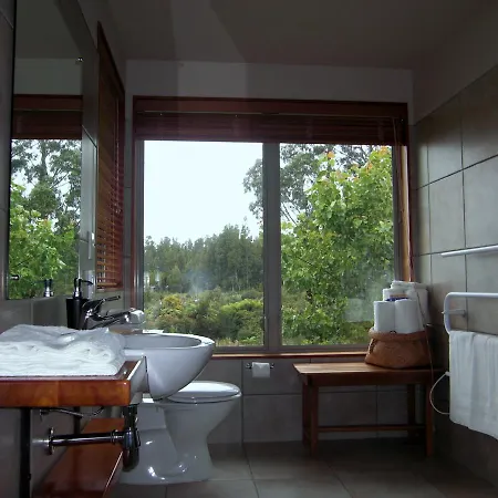 Paramata Lodge Kakapotahi Room photo